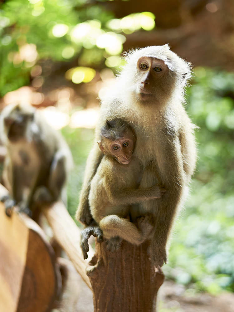 Фотография автора Олег Петреев