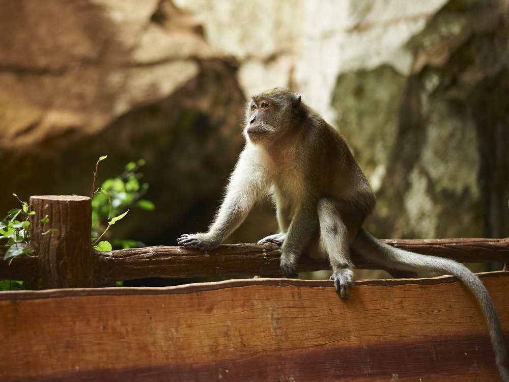 Фотография автора Олег Петреев