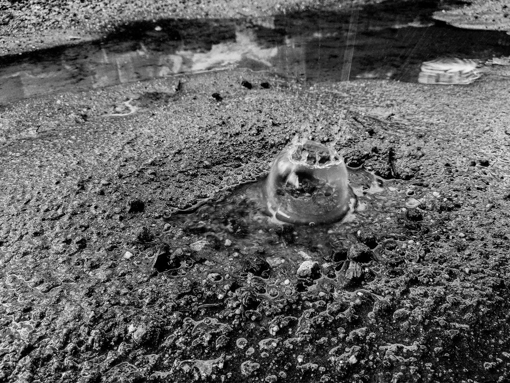 Photograph by Noor Abd ali HT