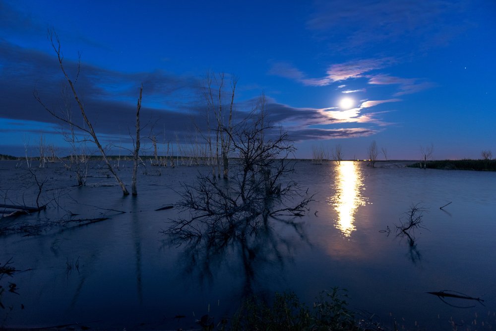 Photograph by Екатерина Эйрих