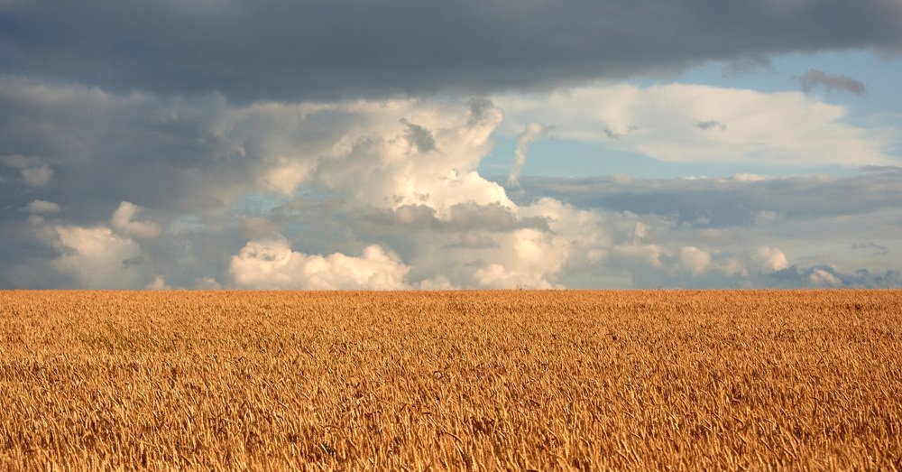 Photograph by Bogdan Khizhnyak
