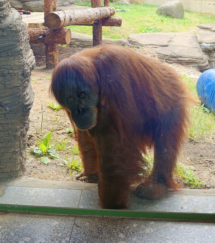 Фотография автора АЛЕКСАНДР ЦЫГЕЛЬНЮК
