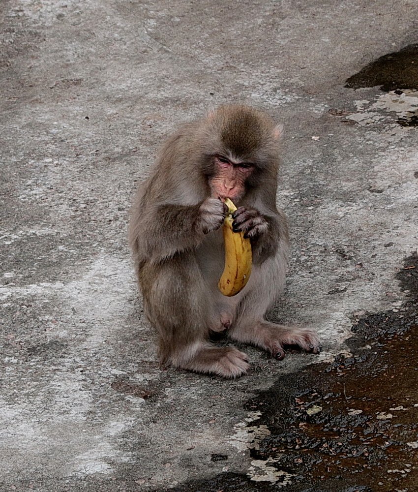 Фотография автора АЛЕКСАНДР ЦЫГЕЛЬНЮК