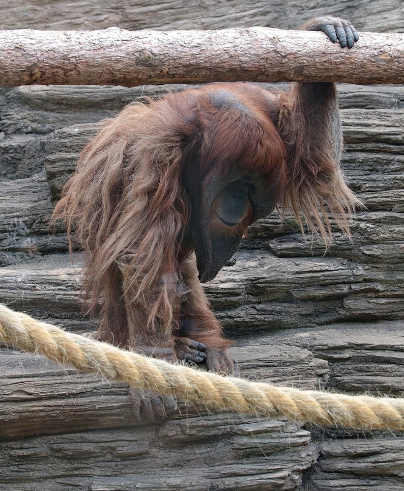 Фотография автора АЛЕКСАНДР ЦЫГЕЛЬНЮК
