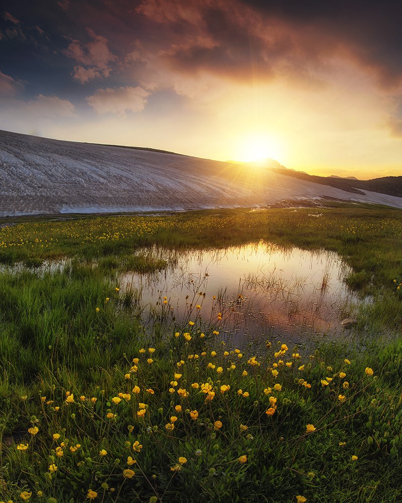 Photograph by Saeed Younesi