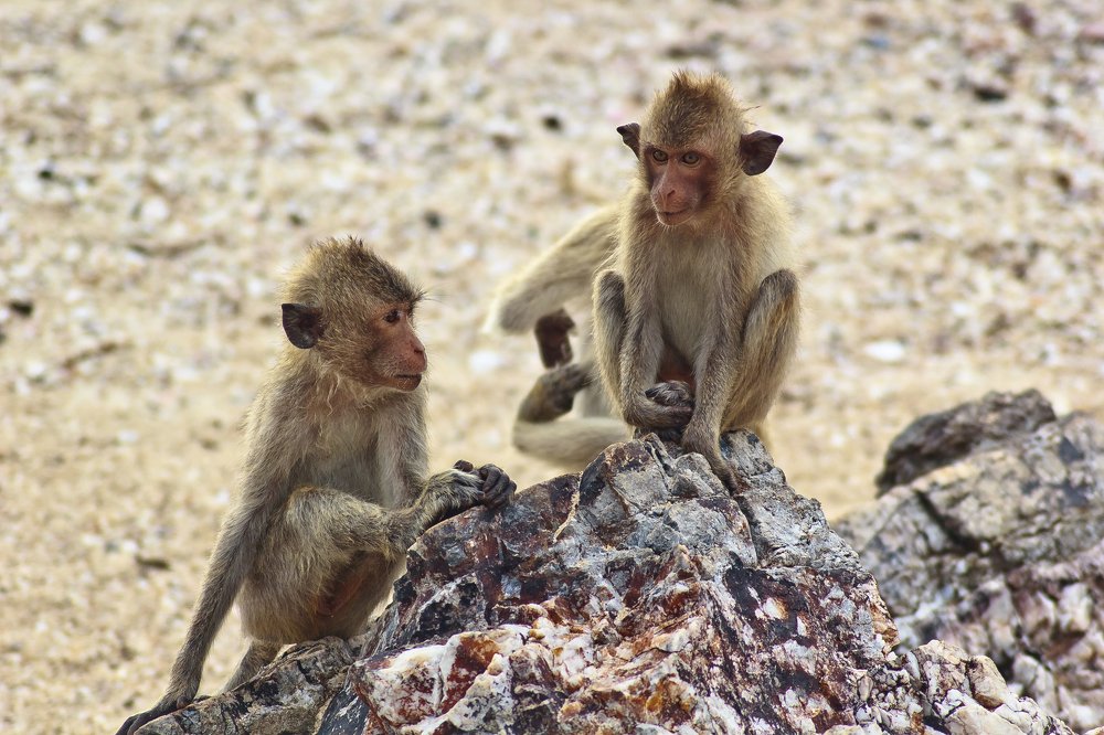 Photograph by Любовь Демиденко