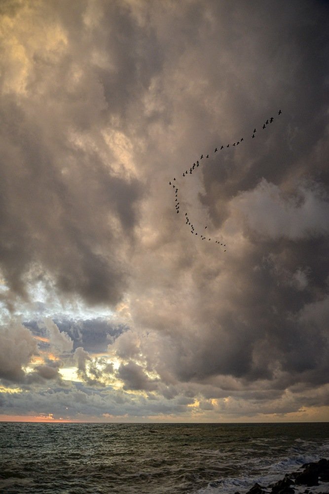 Photograph by Анна Халкониди