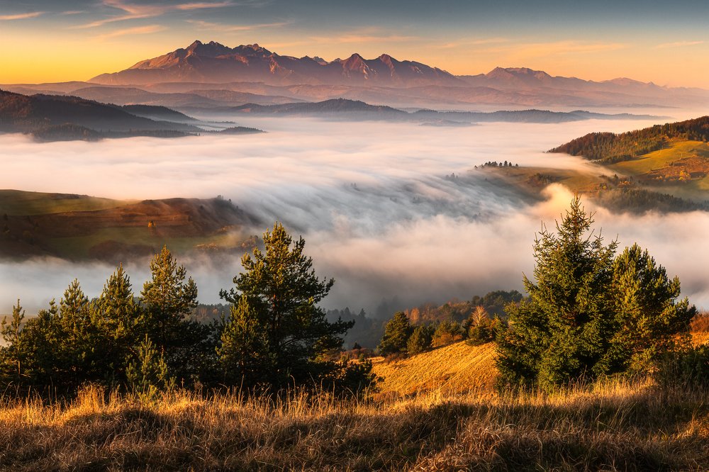 Photograph by Tomek Kosieradzki