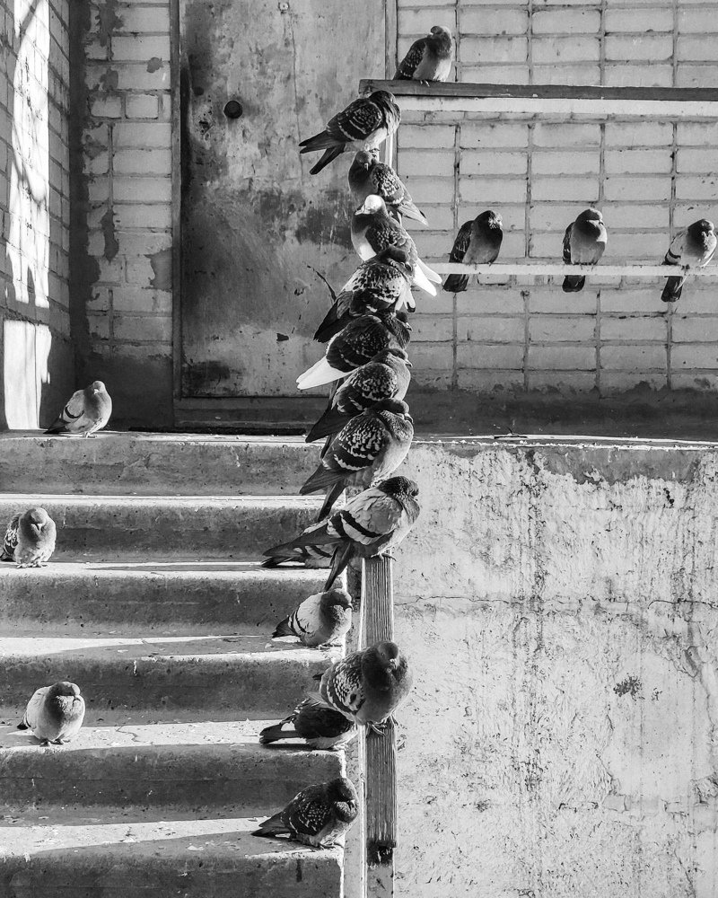 Photograph by Dmitriy Sumar