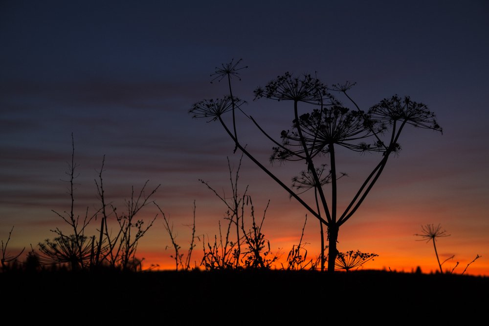 Photograph by Утёмов Сергей