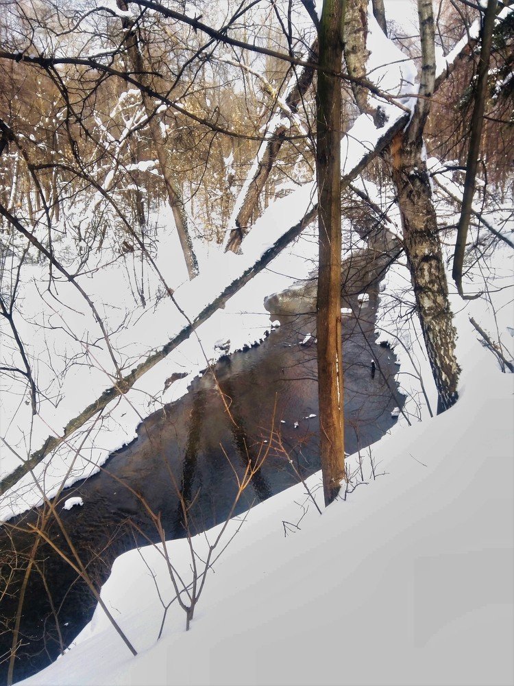 Photograph by Станислав Третьяков