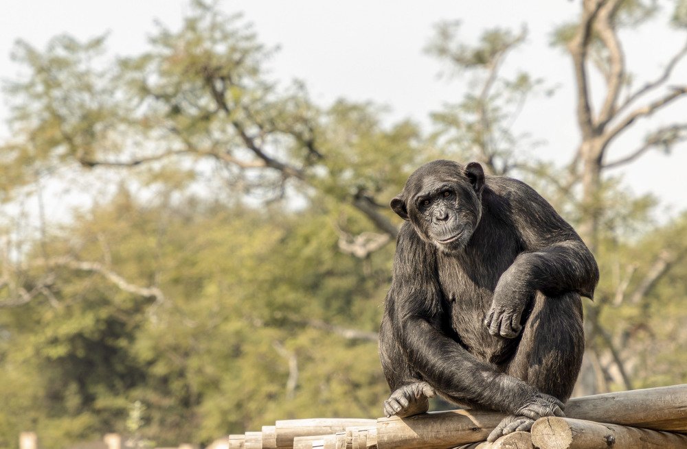 Photograph by  Анастасия Тимарг