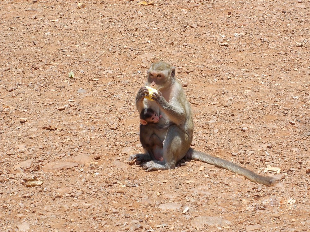 Photograph by Евгений Гецев