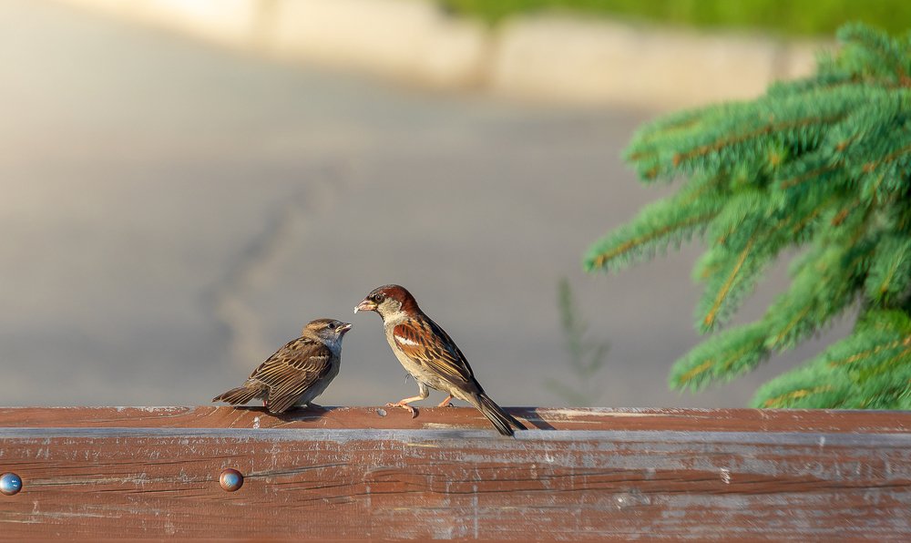 Photograph by Евгений Гецев