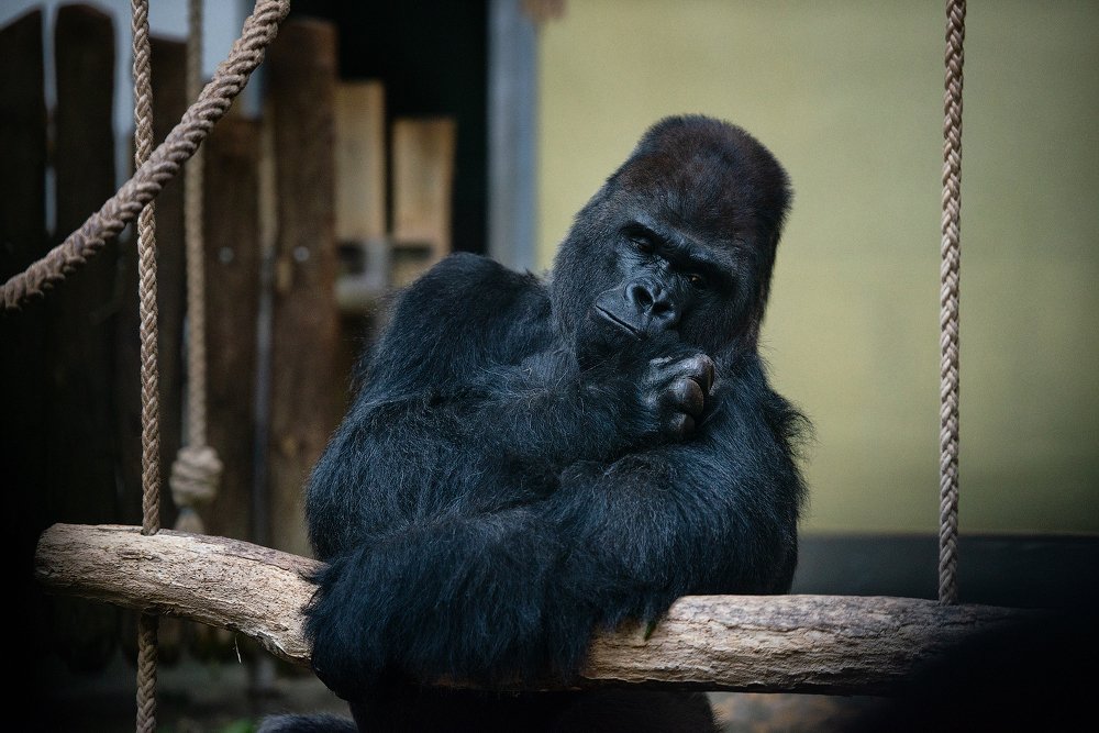 Photograph by Юлия Борт