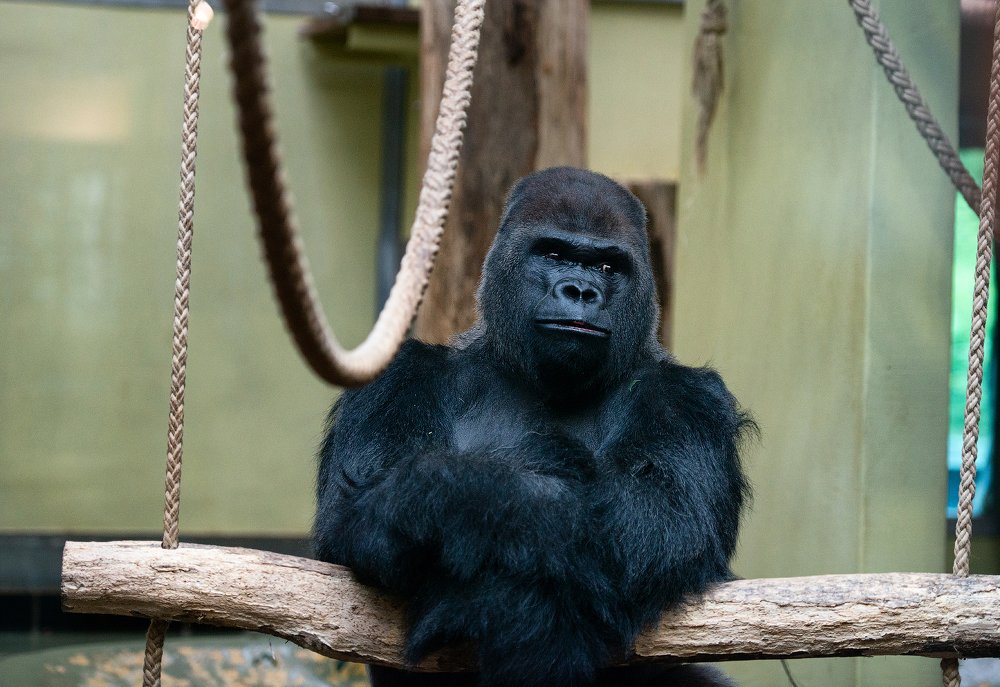 Photograph by Юлия Борт