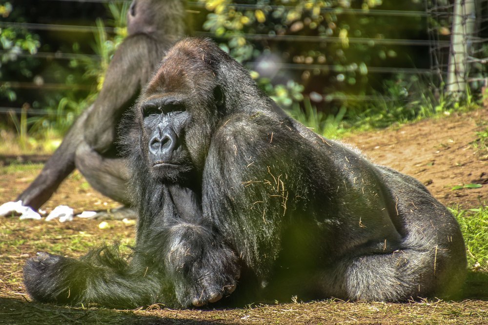 Photograph by Galina Rashap