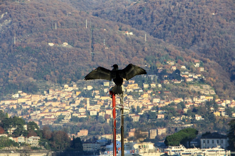 Photograph by Карина Бархударян