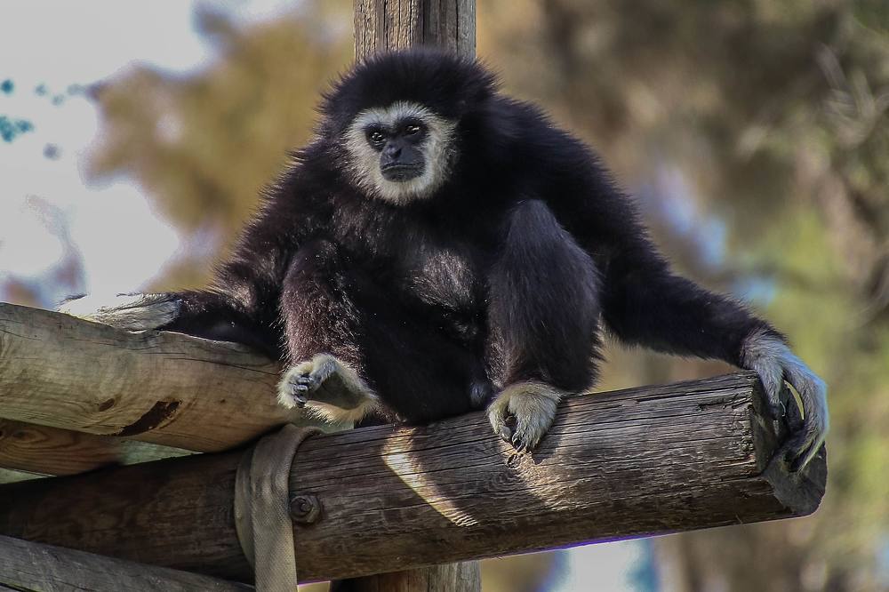 Photograph by Galina Rashap