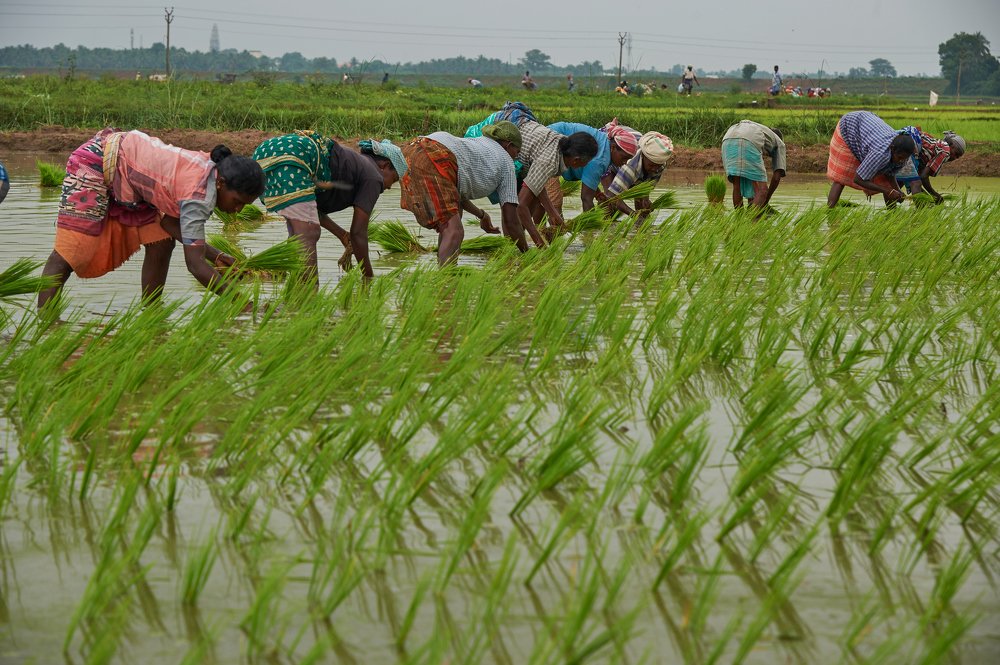 Photograph by Lakshmanan