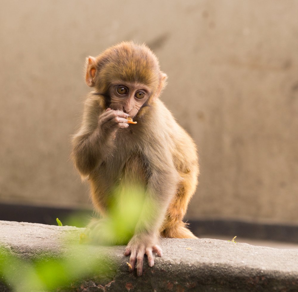 Photograph by Виктор Петров