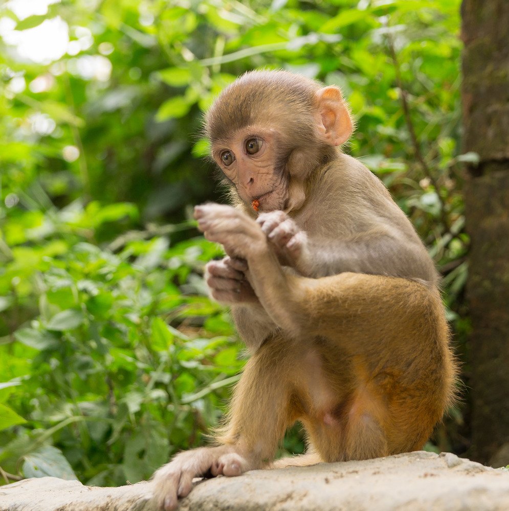 Photograph by Виктор Петров