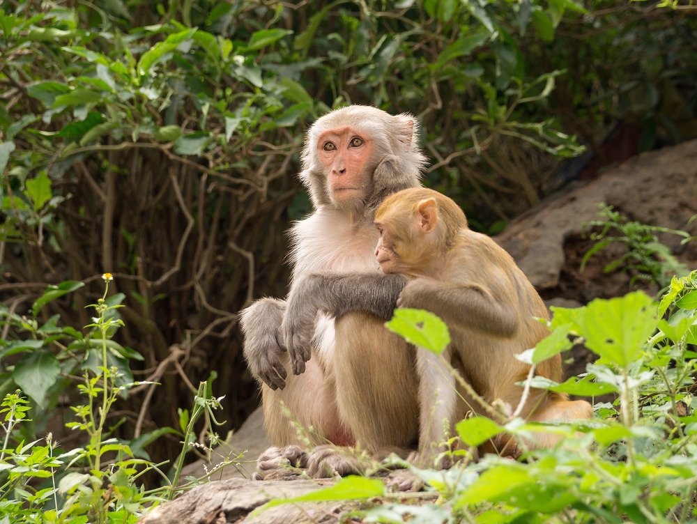 Photograph by Виктор Петров