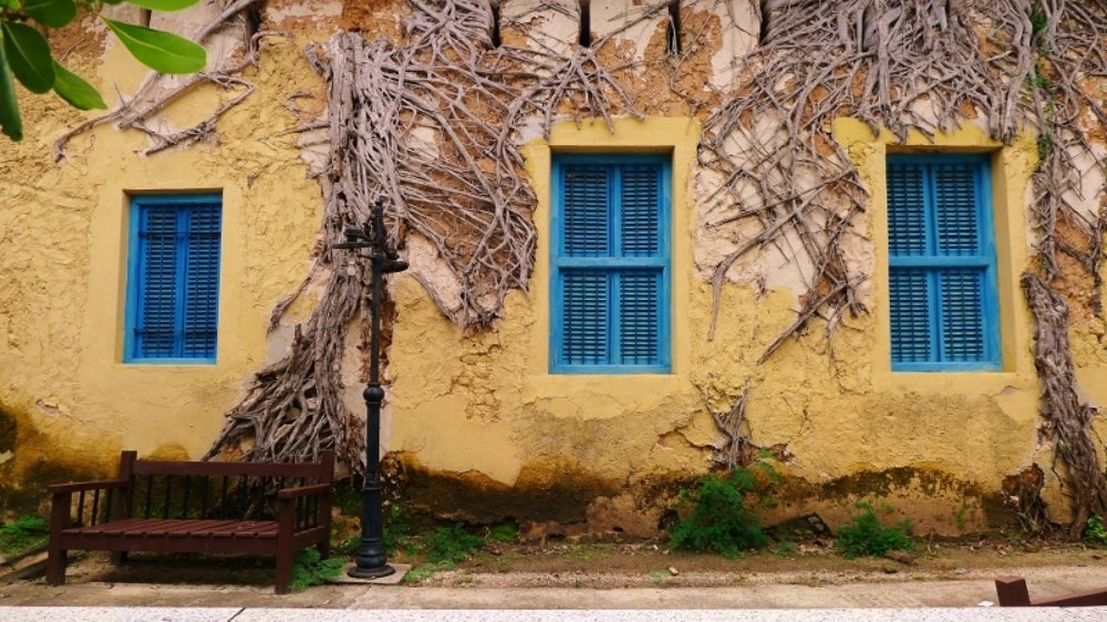 Windows