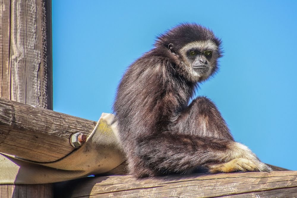 Photograph by Galina Rashap