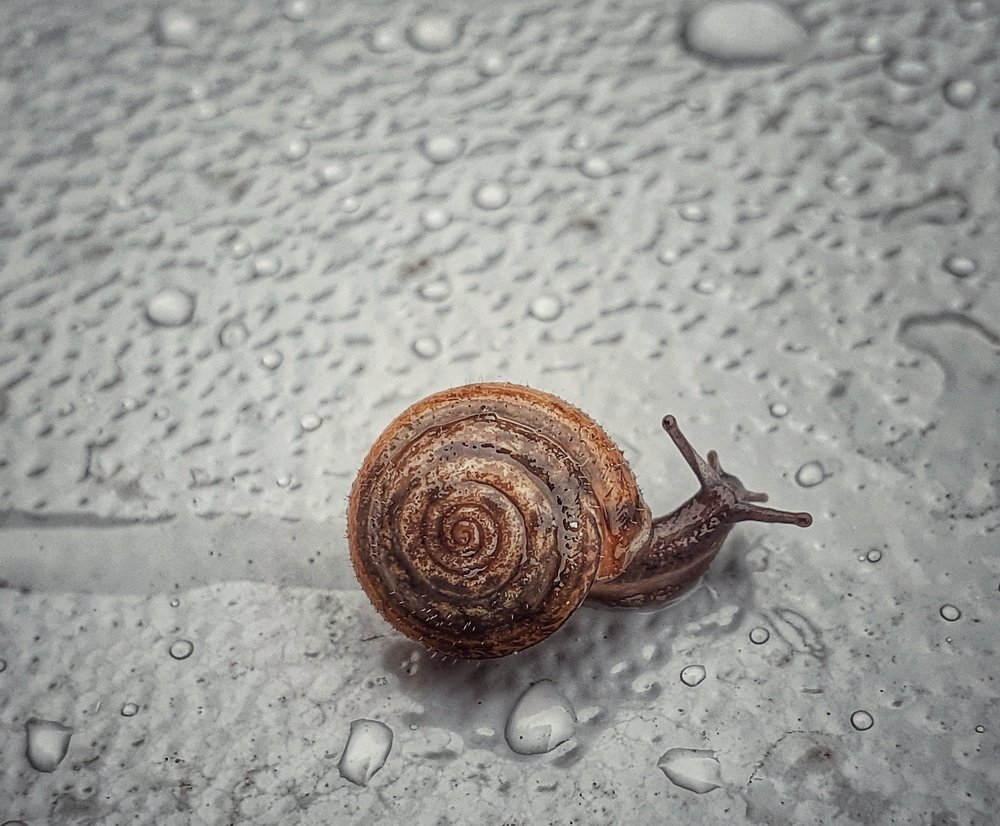 Photograph by Павел Хайрутдинов