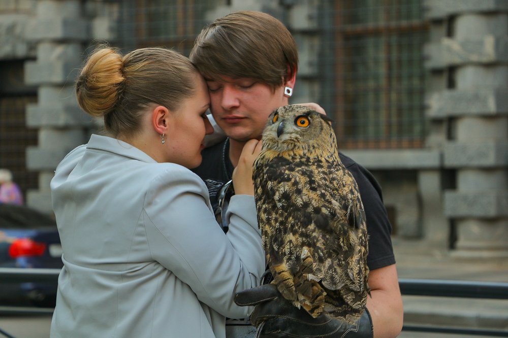 Photograph by zeinab mokhtari