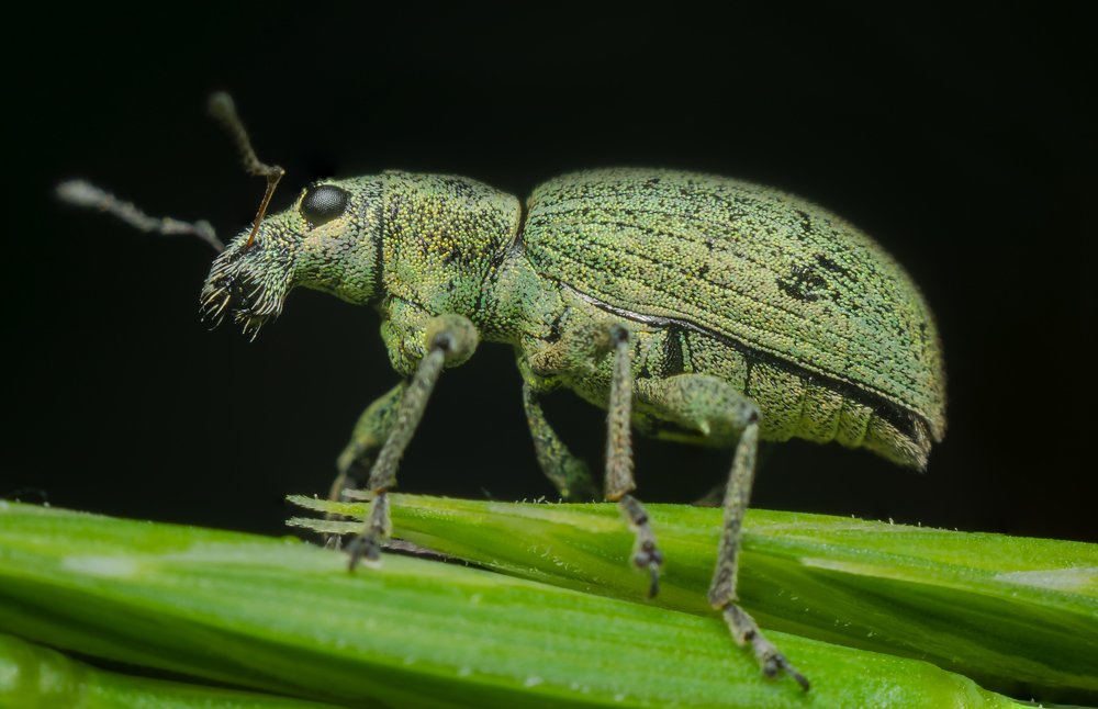 Photograph by Денис Ветренко