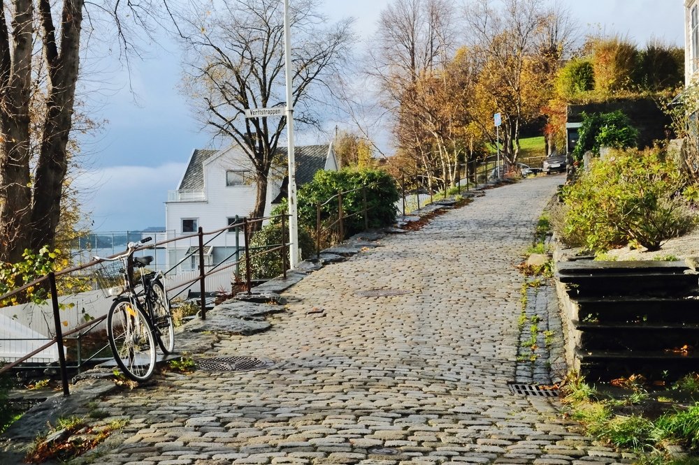 Photograph by Masha Turova