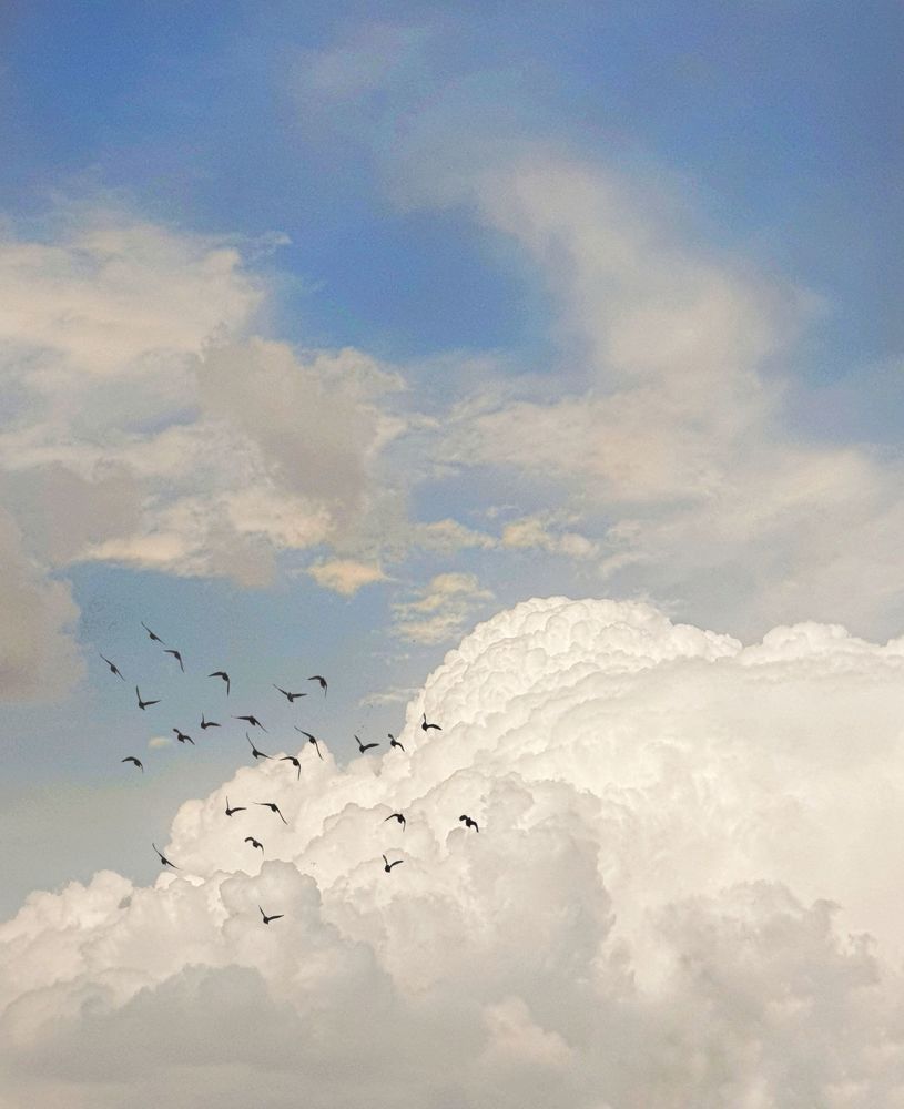 Photograph by Asie Habibi