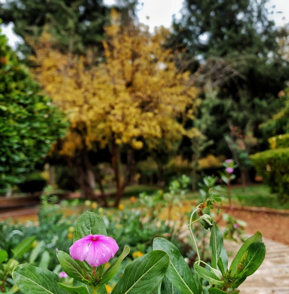 Photograph by Asie Habibi