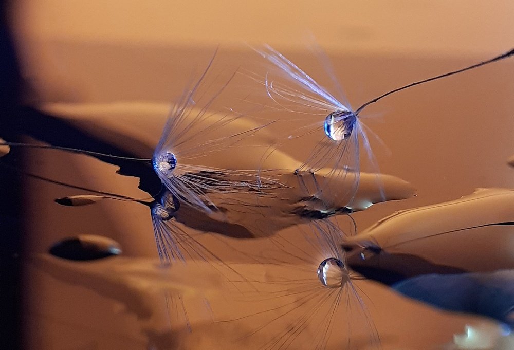 Photograph by Галина Воротникова