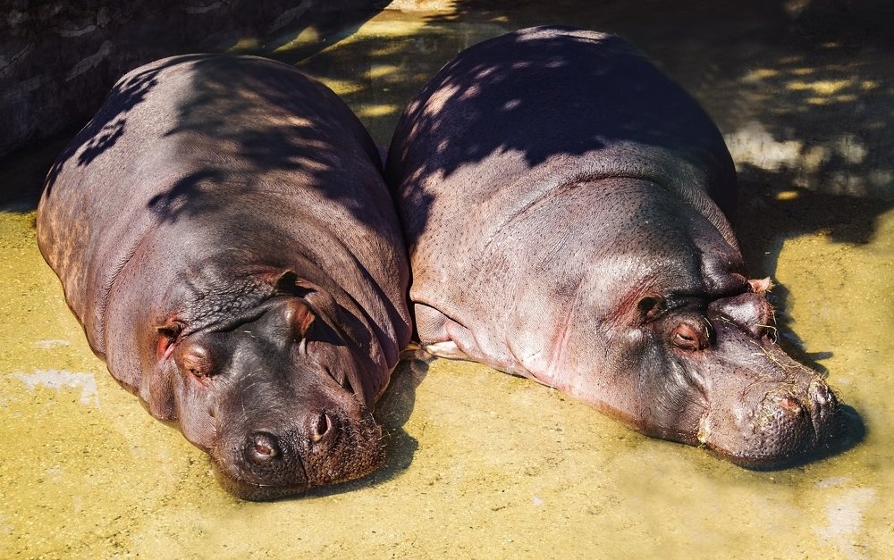 Photograph by Germans Alenins