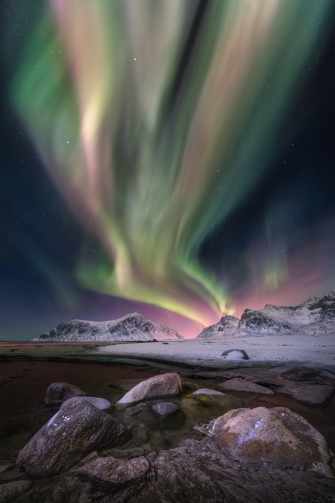 To Catch The Firebird...