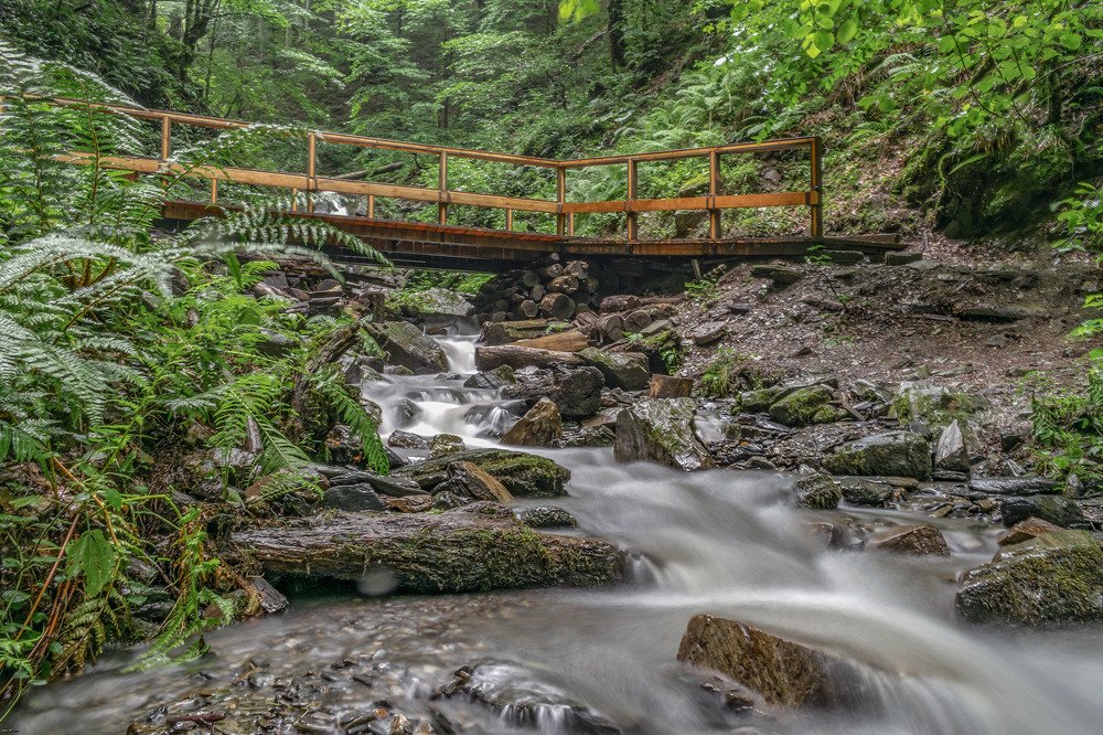 Photograph by Александр Пономарёв