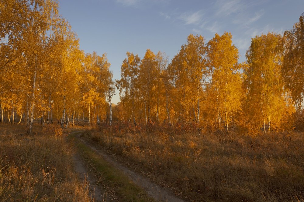 Photograph by Александр Канцур