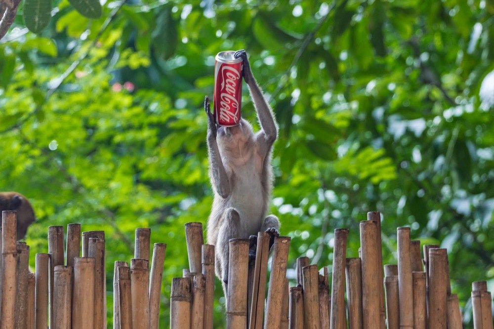 Photograph by Галина Шарапова