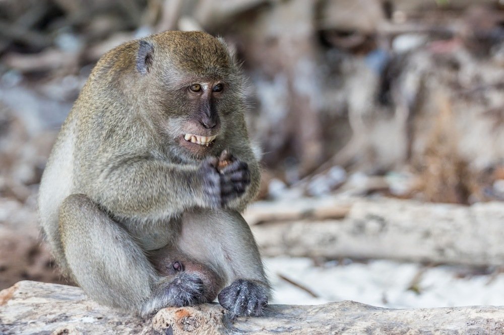 Photograph by Галина Шарапова