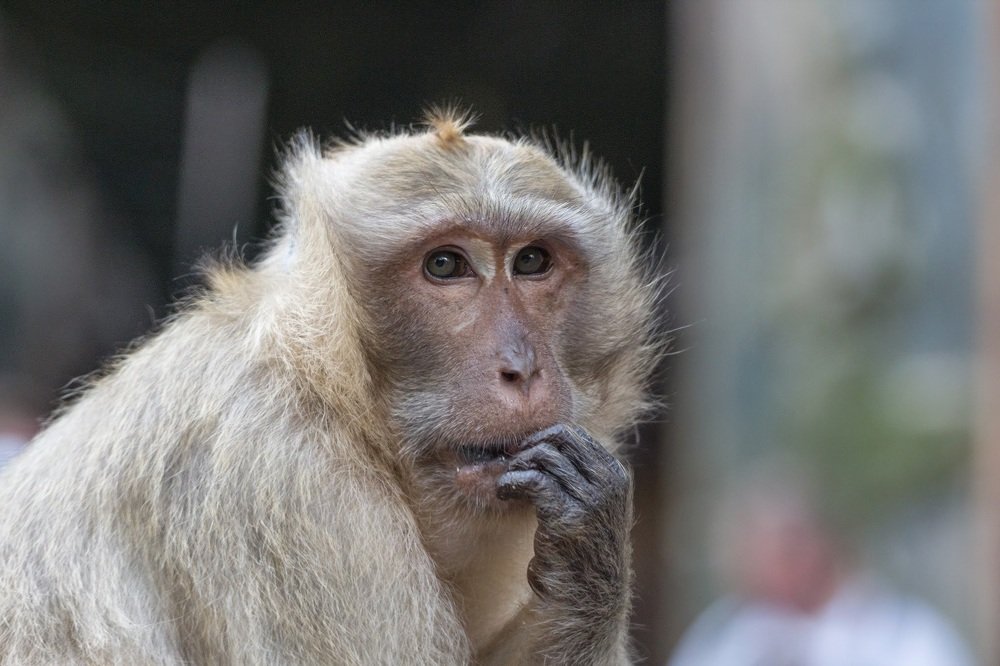 Photograph by Галина Шарапова