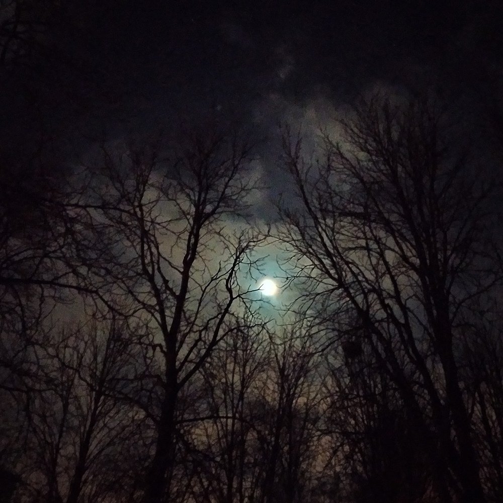 Photograph by Юлия