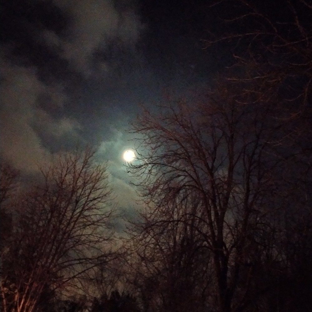 Photograph by Юлия