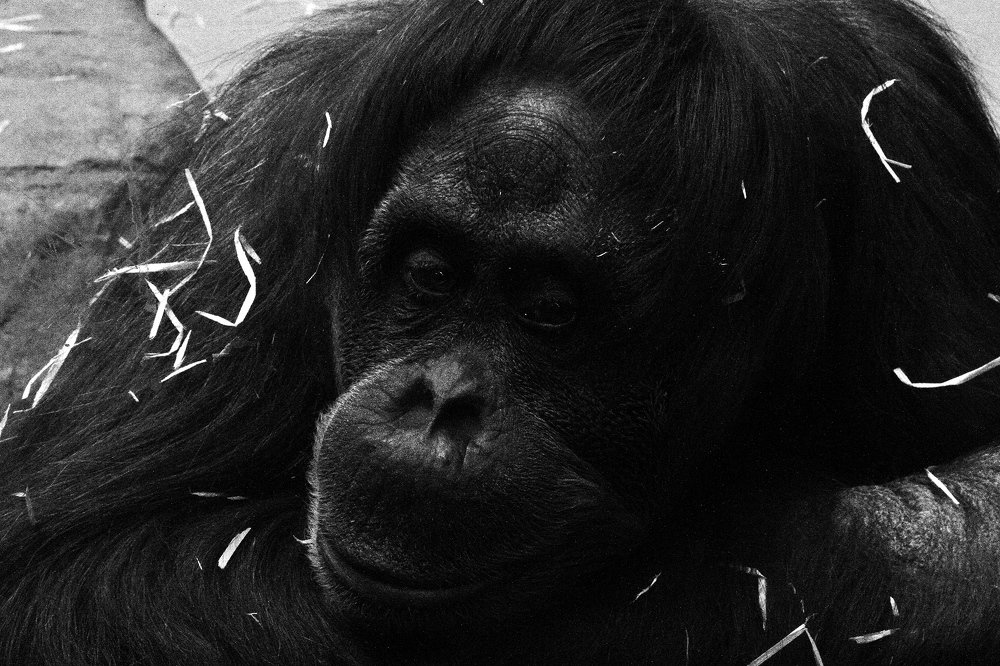 Фотография автора Геннадий Титов