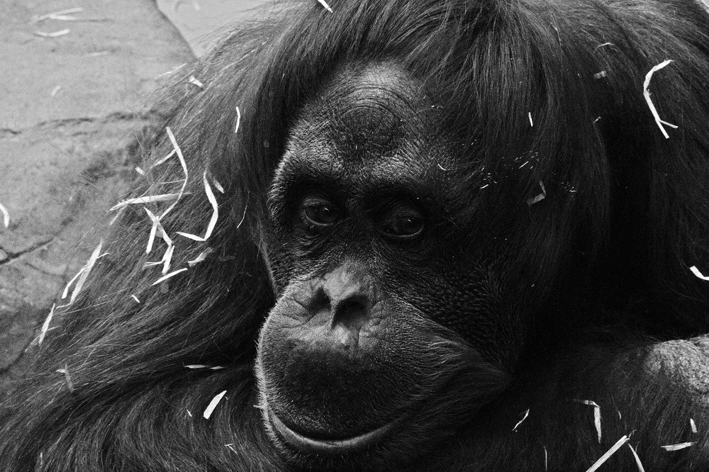 Фотография автора Геннадий Титов