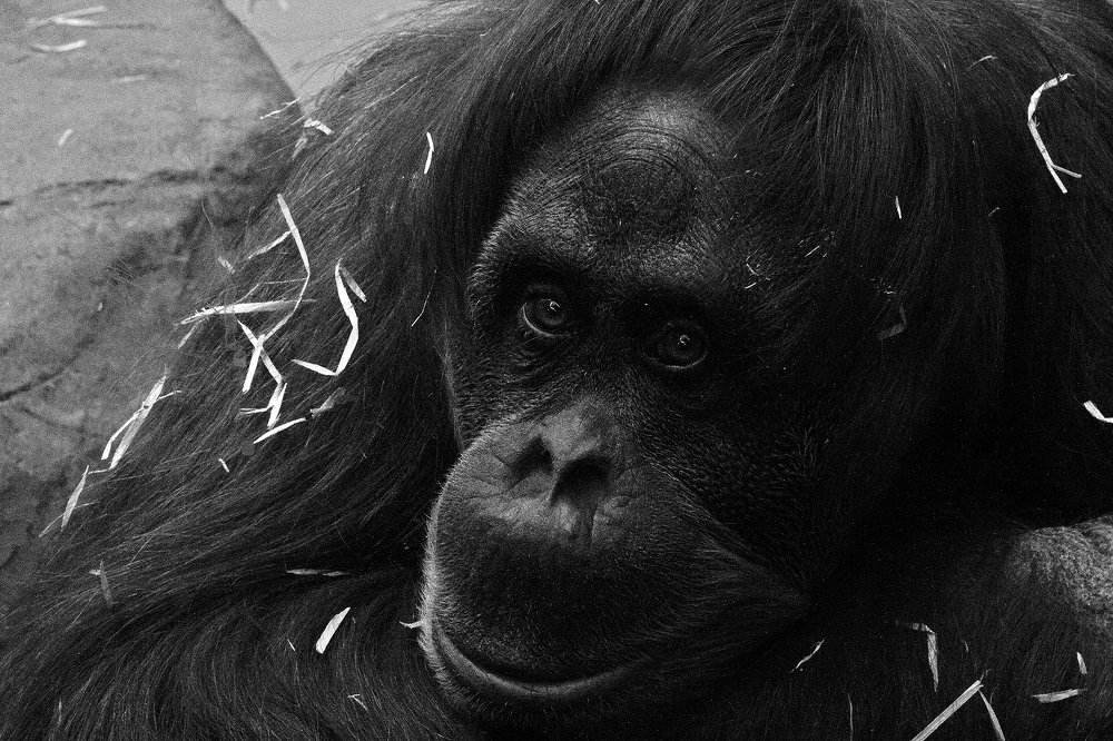 Фотография автора Геннадий Титов