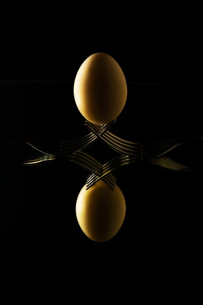 Photograph by Sascha Fiori