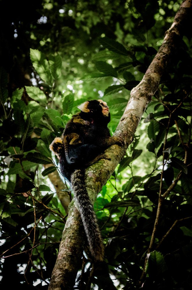 Photograph by Bruno Montine